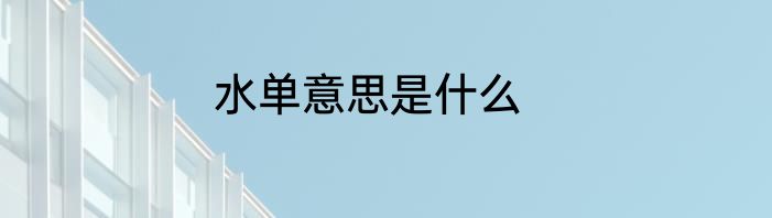水单意思是什么