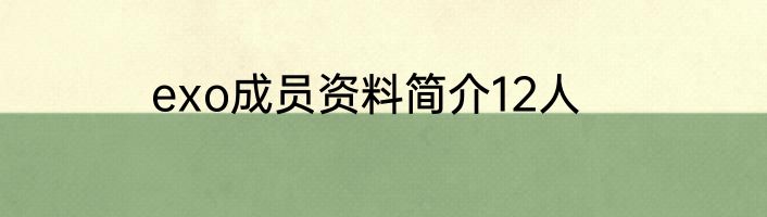 exo成员资料简介12人