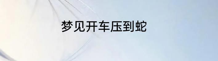 梦见开车压到蛇
