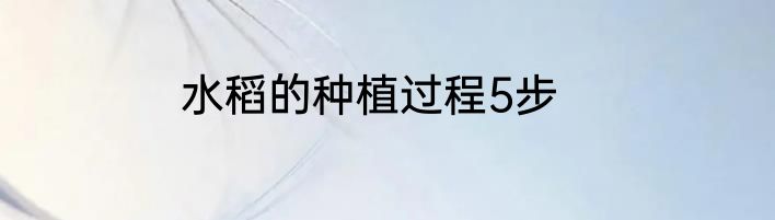 水稻的种植过程5步