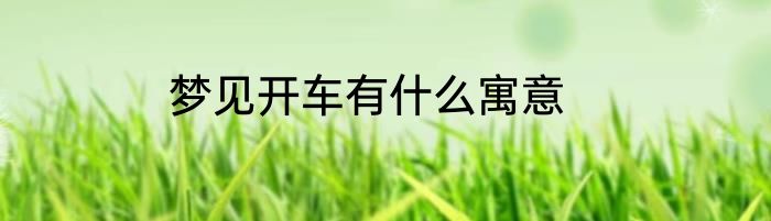 梦见开车有什么寓意