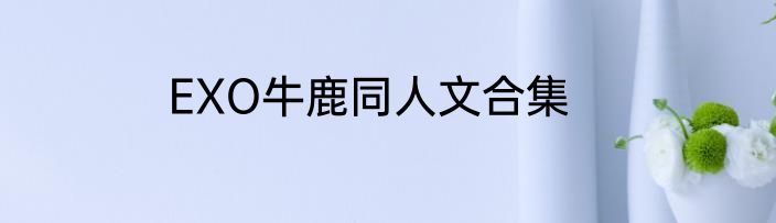 EXO牛鹿同人文合集