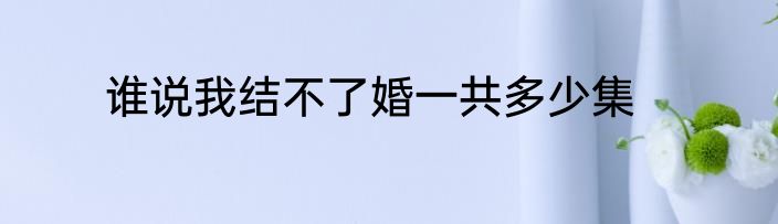 谁说我结不了婚一共多少集