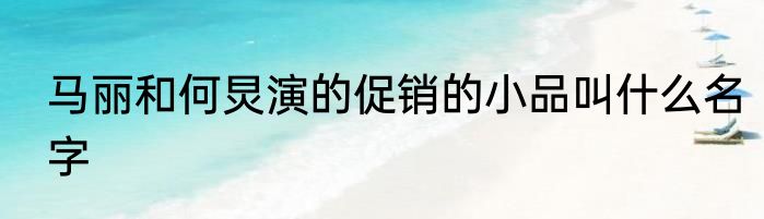 马丽和何炅演的促销的小品叫什么名字