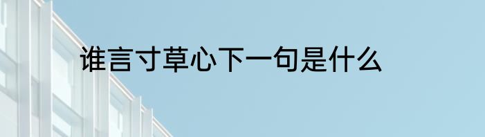 谁言寸草心下一句是什么