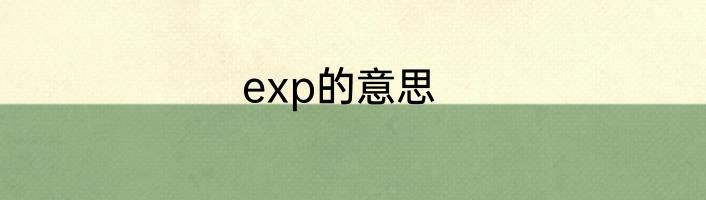 exp的意思