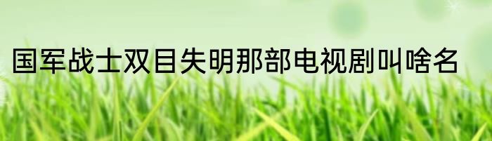 国军战士双目失明那部电视剧叫啥名