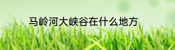马岭河大峡谷在什么地方
