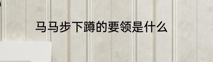 马马步下蹲的要领是什么