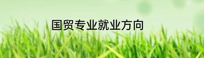 国贸专业就业方向