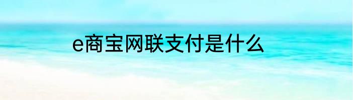 e商宝网联支付是什么