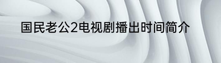 国民老公2电视剧播出时间简介