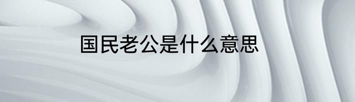 国民老公是什么意思