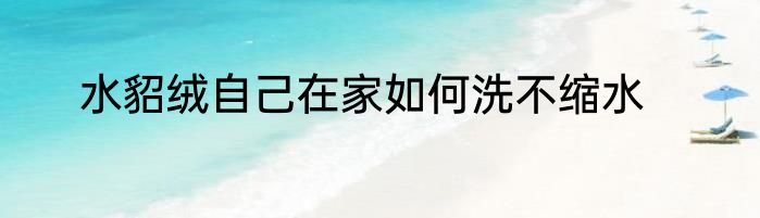 水貂绒自己在家如何洗不缩水