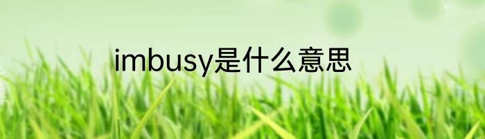 imbusy是什么意思