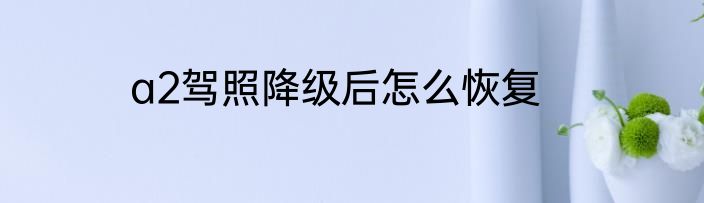 a2驾照降级后怎么恢复