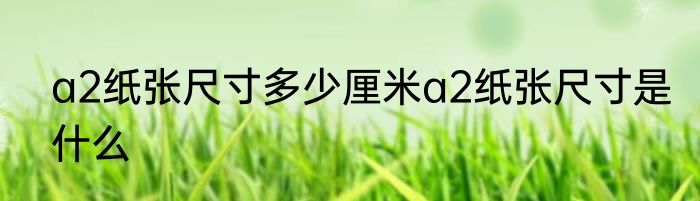 a2纸张尺寸多少厘米a2纸张尺寸是什么
