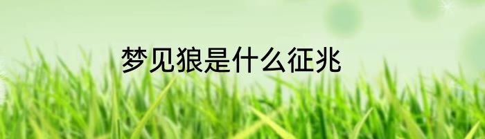 梦见狼是什么征兆