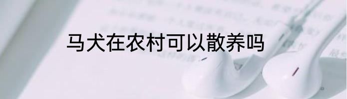 马犬在农村可以散养吗