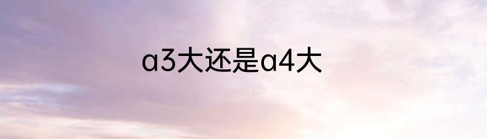 a3大还是a4大