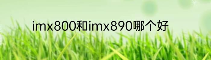imx800和imx890哪个好