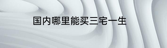 国内哪里能买三宅一生