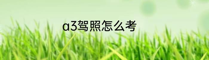 a3驾照怎么考