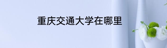 重庆交通大学在哪里
