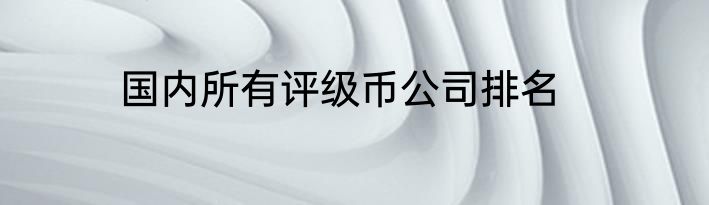 国内所有评级币公司排名