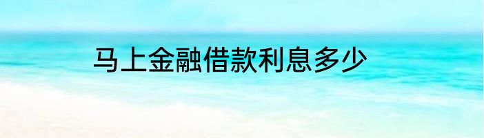 马上金融借款利息多少
