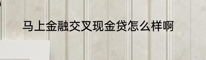 马上金融交叉现金贷怎么样啊