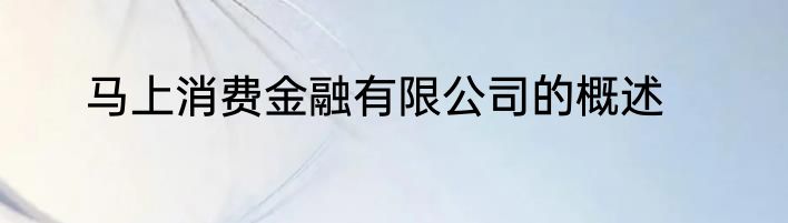 马上消费金融有限公司的概述