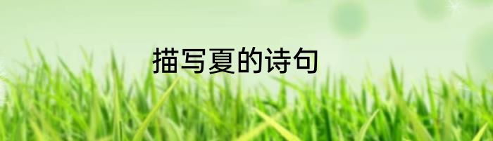 描写夏的诗句