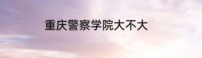 重庆警察学院大不大