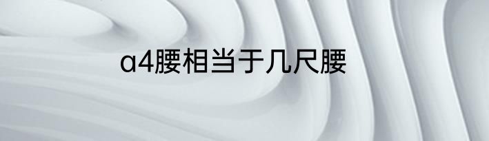 a4腰相当于几尺腰