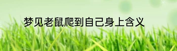 梦见老鼠爬到自己身上含义