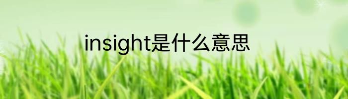 insight是什么意思