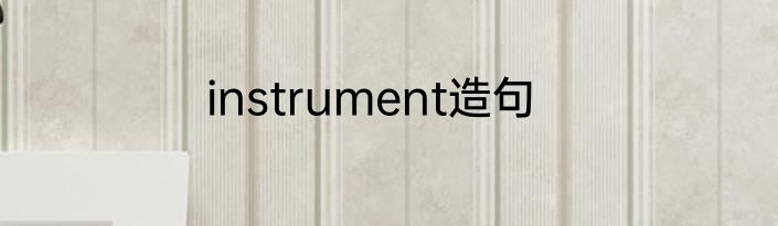 instrument造句