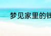 梦见家里的钱被偷走是什么意思