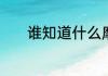 谁知道什么摩托适合长途骑行