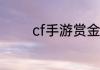 cf手游赏金令怎么快速升级
