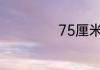 75厘米是几尺的腰