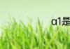 a1是什么驾照