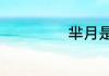 芈月是叫什么太后