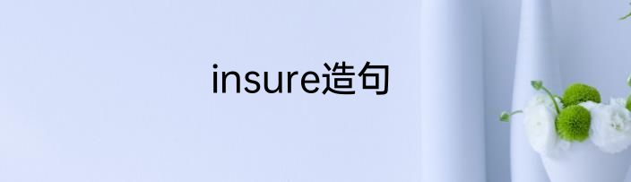 insure造句