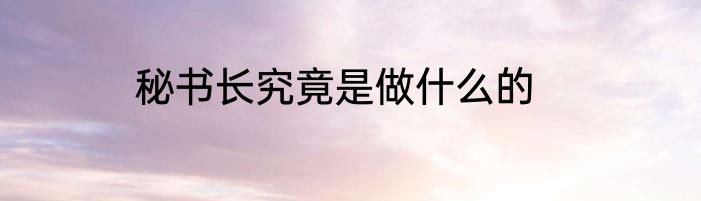 秘书长究竟是做什么的