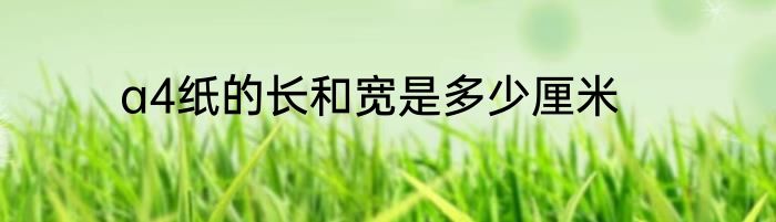 a4纸的长和宽是多少厘米