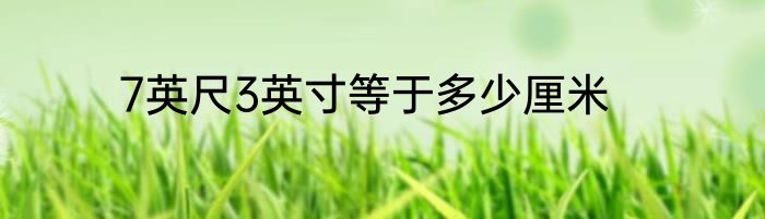 7英尺3英寸等于多少厘米