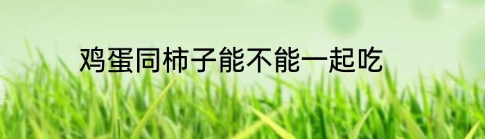 鸡蛋同柿子能不能一起吃