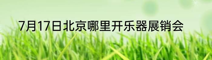 7月17日北京哪里开乐器展销会